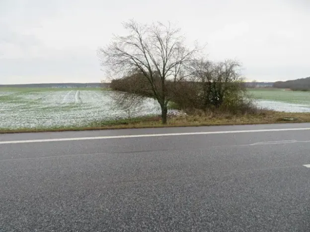 Dražba louky, Chotěšice, 11382 m2