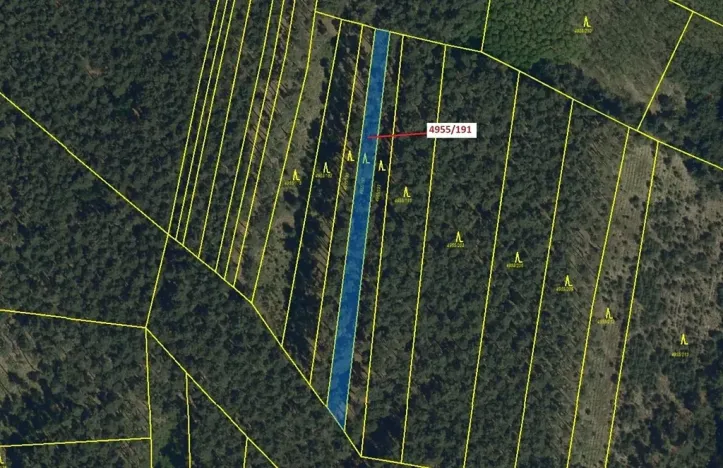 Dražba lesa, Vracov, 1174 m2