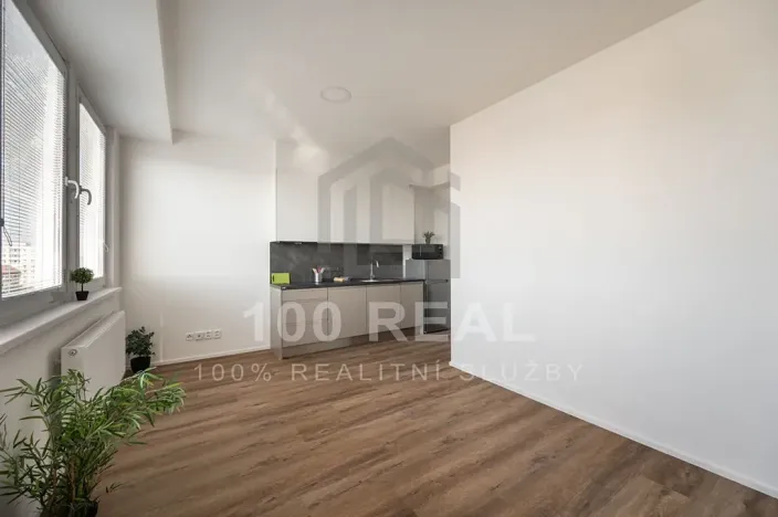 Pronájem bytu 1+kk, Hradec Králové, Průmyslová, 29 m2