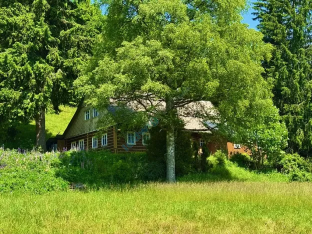 Prodej chalupy, Malá Úpa, 158 m2