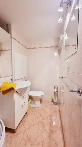 Pronájem bytu 1+kk, Brno, Voroněžská, 26 m2