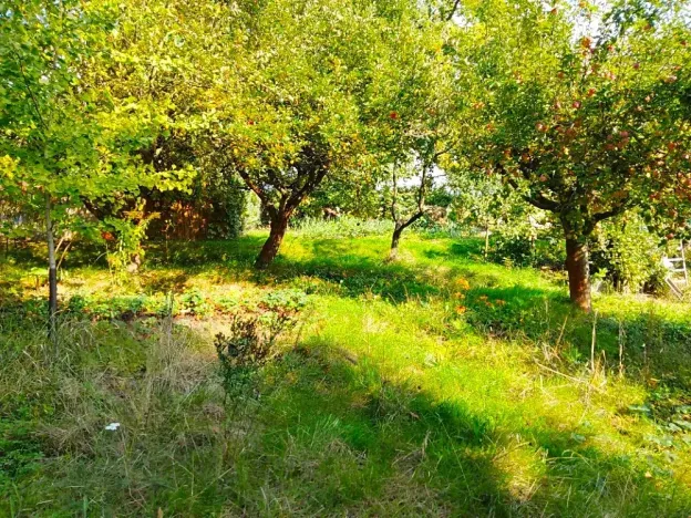 Prodej chaty, Mnichovo Hradiště, Klášterská, 12 m2