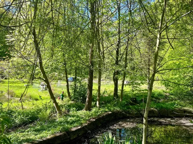 Pronájem rodinného domu, Velký Újezd, Za Obecním lesem, 80 m2