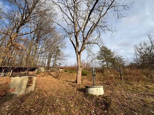 Pronájem rodinného domu, Velký Újezd, Za Obecním lesem, 80 m2