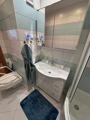 Pronájem bytu 2+1, Plzeň, Skupova, 65 m2