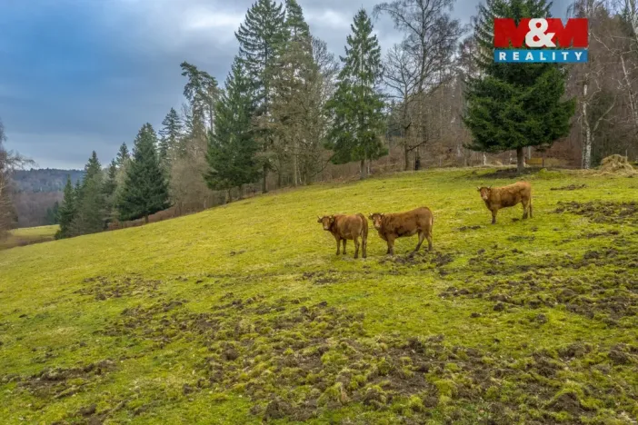 Prodej pozemku pro bydlení, Chřibská - Horní Chřibská, 20128 m2