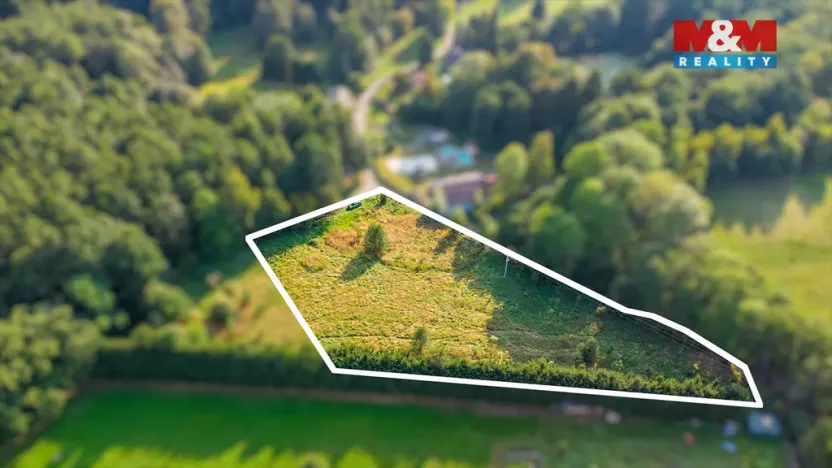 Prodej louky, Nový Bor - Janov, 5500 m2