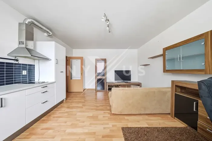 Pronájem bytu 2+kk, Břežany II, 47 m2
