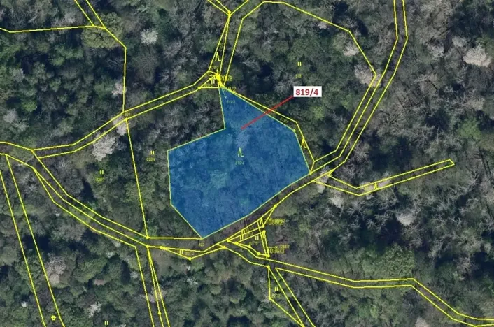 Dražba lesa, Zubrnice, 2875 m2