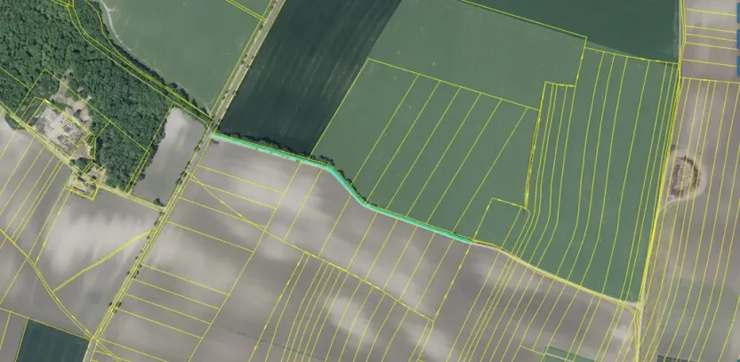 Dražba pole, Chotěšov, 7368 m2