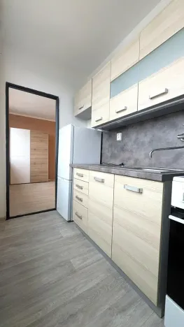 Pronájem bytu 1+1, Most, Růžová, 26 m2