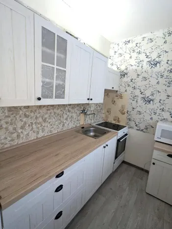 Pronájem bytu 1+1, Bílina, Aléská, 27 m2