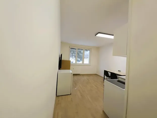 Pronájem bytu 1+kk, Sokolov, Mičurinova, 21 m2