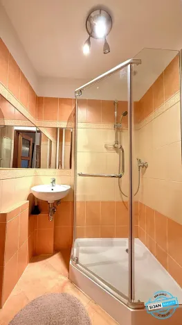 Prodej bytu 4+1, Krnov, SPC S, 81 m2