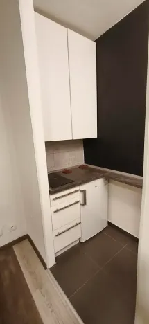 Pronájem bytu 1+kk, Praha - Libeň, Konšelská, 22 m2