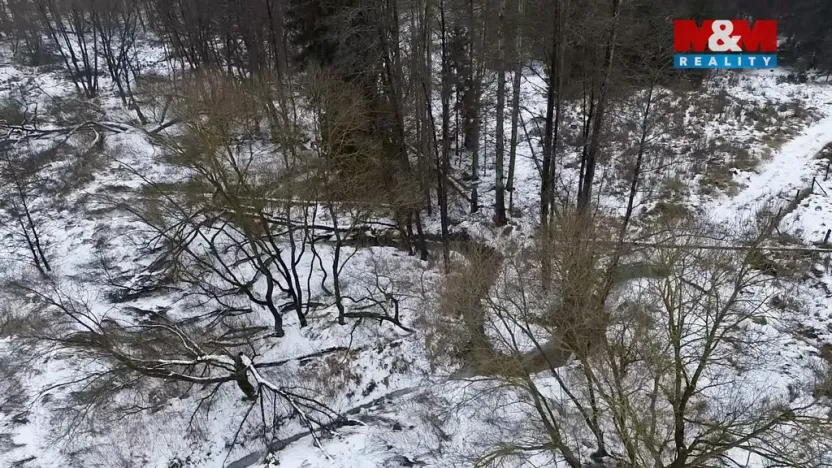 Prodej rybníku, Dolní Hořice - Pořín, 8552 m2