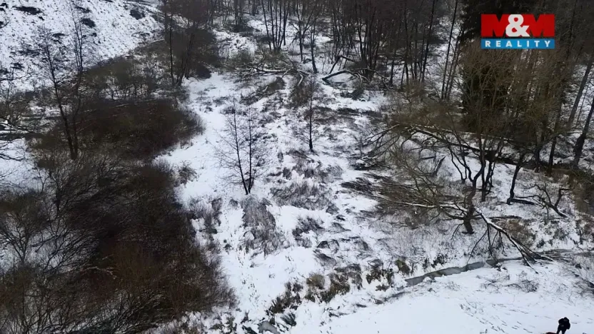 Prodej rybníku, Dolní Hořice - Pořín, 8552 m2