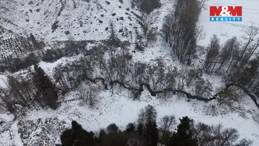 Prodej rybníku, Dolní Hořice - Pořín, 8552 m2