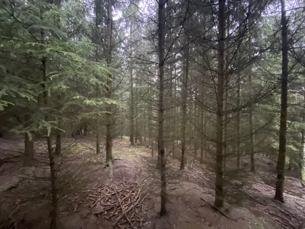 Prodej lesa, Městečko Trnávka - Lázy, 32904 m2