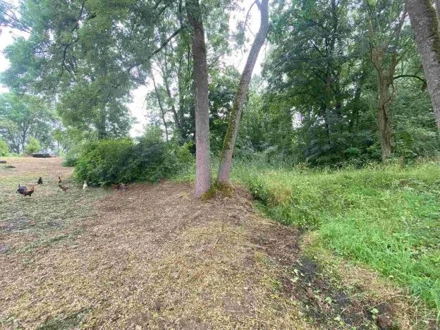 Prodej pozemku, Březová, 1993 m2