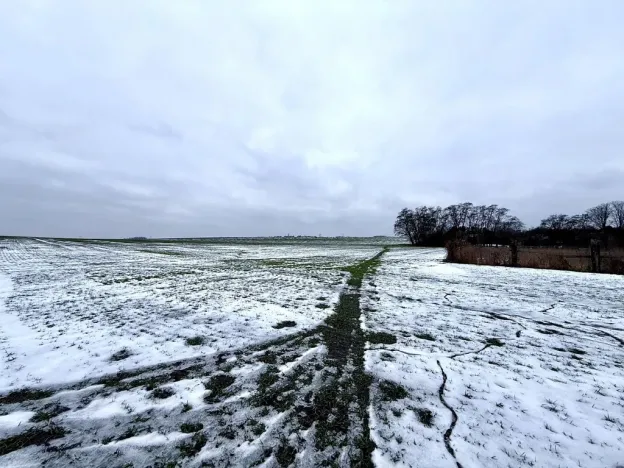 Prodej pozemku, Brázdim - Starý Brázdim, 1371 m2