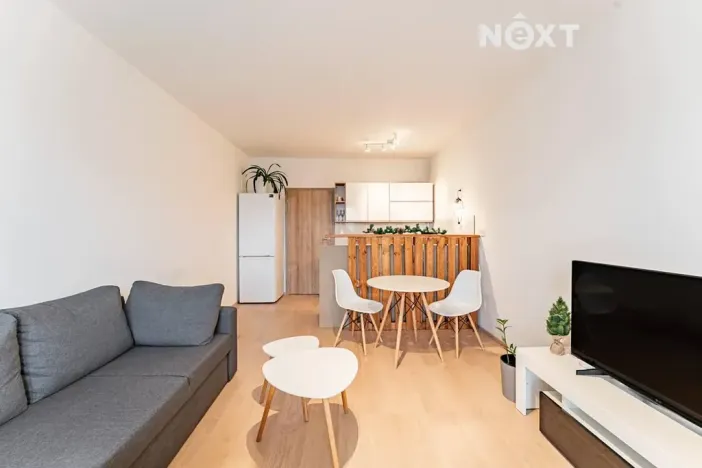 Pronájem bytu 1+kk, Olomouc, Věry Pánkové, 36 m2