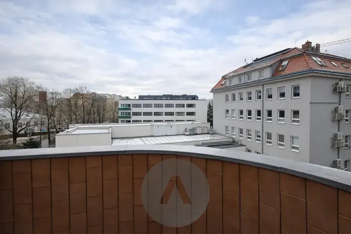 Pronájem bytu 2+1, Brno, Botanická, 86 m2