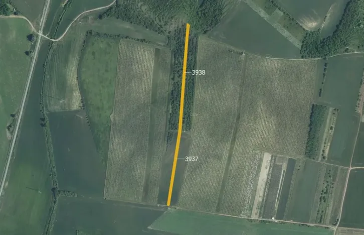 Prodej pole, Starovičky, 5778 m2