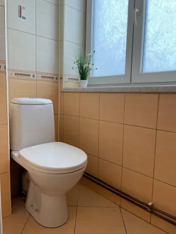 Pronájem bytu 1+1, Nový Jičín, Komenského, 32 m2