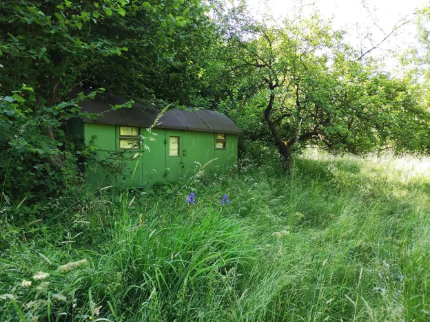 Prodej zahrady, Černovice - Panské Mlýny, 4180 m2