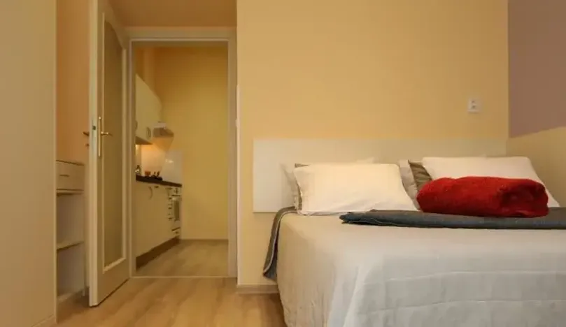 Pronájem bytu 1+1, Praha - Vinohrady, Máchova, 40 m2