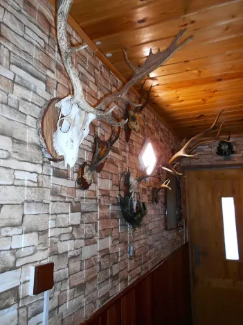 Prodej rodinného domu, Lipnice nad Sázavou, 120 m2