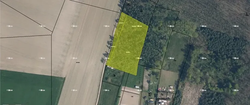 Prodej lesa, Bechlín, 6309 m2