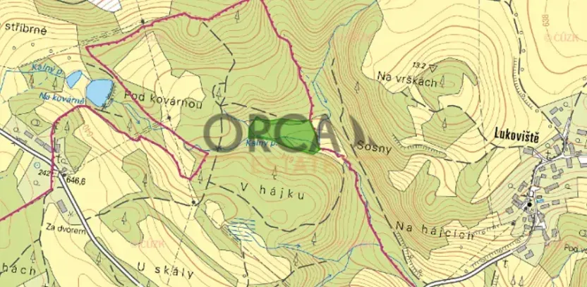Prodej louky, Kolinec, 9891 m2
