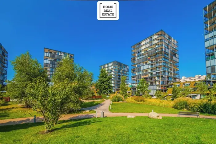 Pronájem bytu 1+kk, Praha - Žižkov, Pitterova, 47 m2