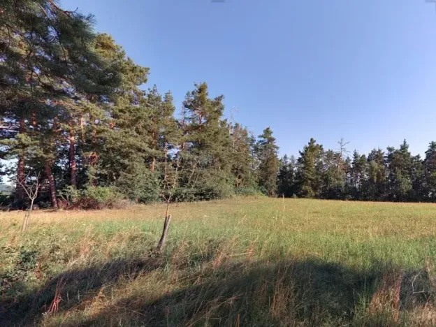 Dražba louky, Nihošovice, 1236 m2