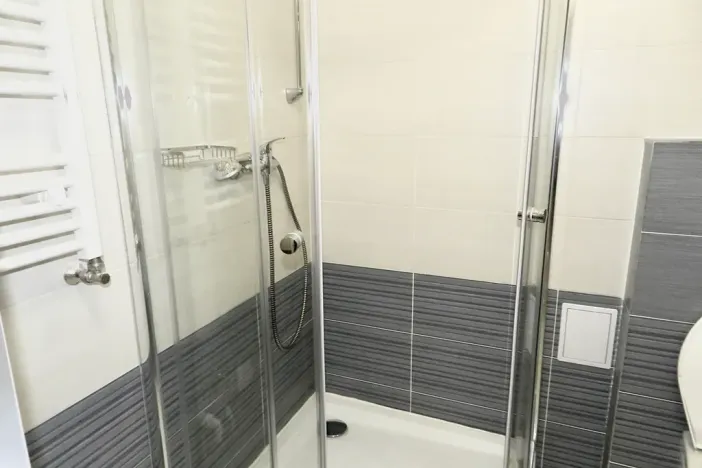 Pronájem bytu 2+kk, Praha - Žižkov, Fibichova, 60 m2