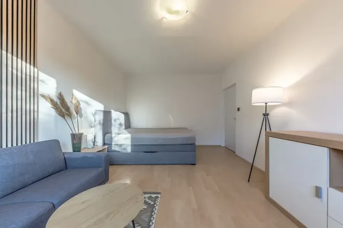 Pronájem bytu 1+1, Praha - Záběhlice, Sasanková, 36 m2