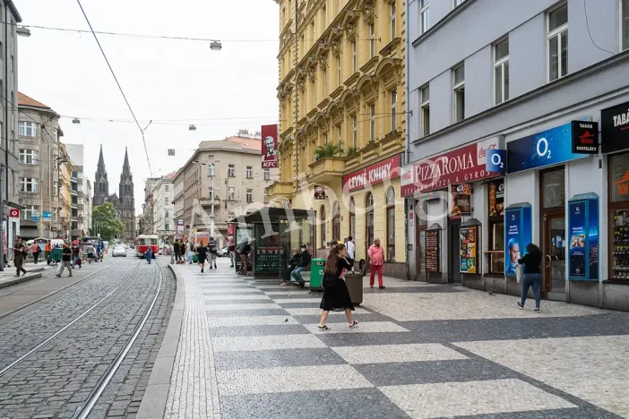 Prodej bytu 2+1, Praha - Vinohrady, Lublaňská, 64 m2