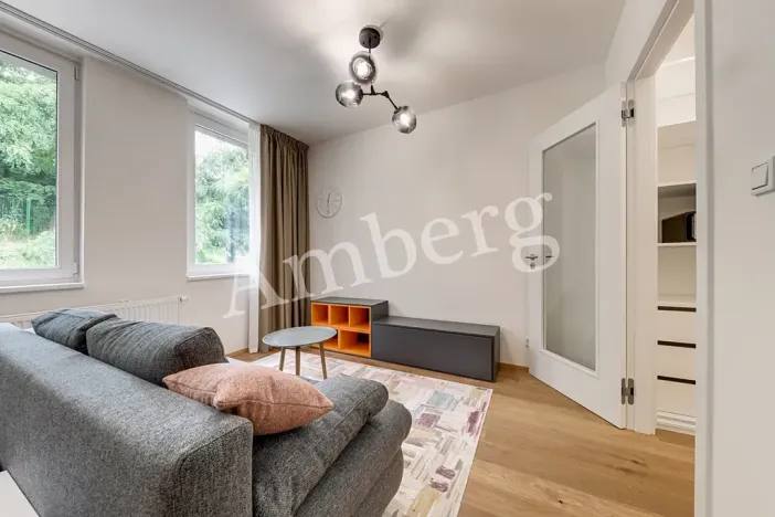 Pronájem bytu 1+kk, Praha - Vinohrady, Perucká, 26 m2