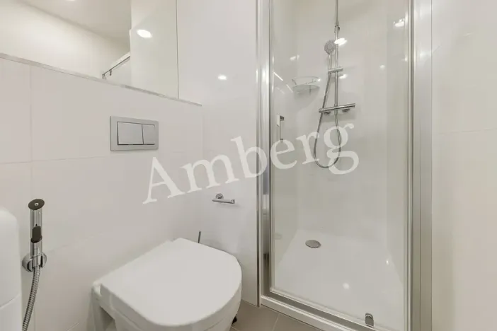 Pronájem bytu 1+kk, Praha - Vinohrady, Perucká, 26 m2