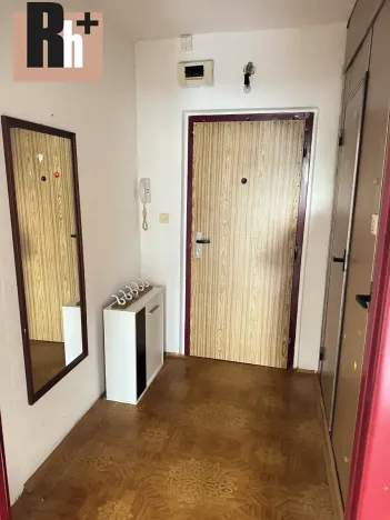 Prodej bytu 1+kk, Ostrava, Gen. Píky, 29 m2