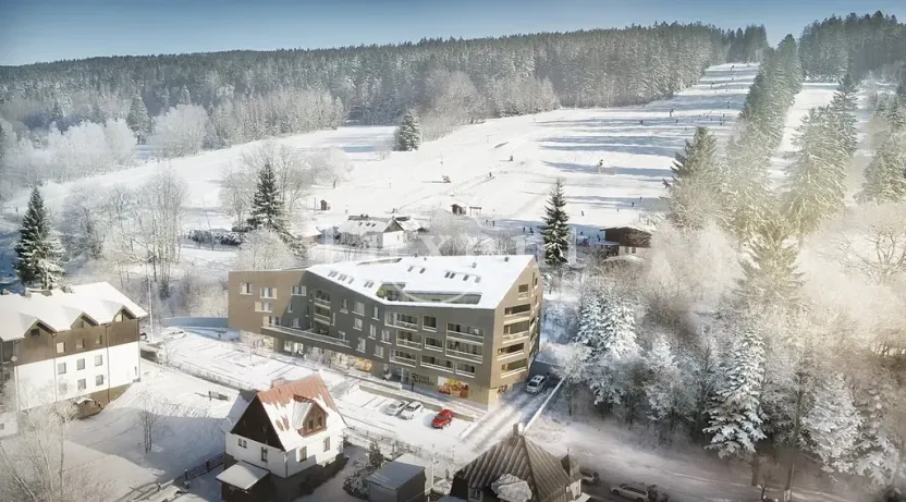 Prodej bytu 2+kk, Železná Ruda, 64 m2