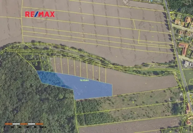 Prodej podílu pole, Bořanovice, 3949 m2