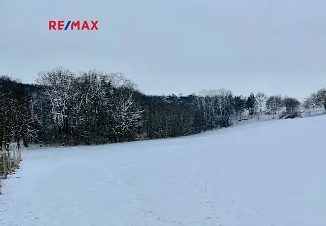 Prodej podílu pole, Bořanovice, 3949 m2