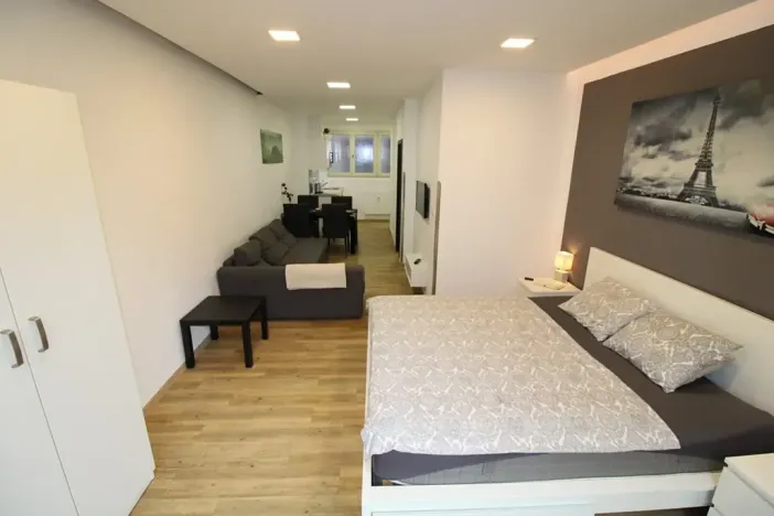 Pronájem bytu 1+kk, Praha - Nové Město, Opletalova, 35 m2