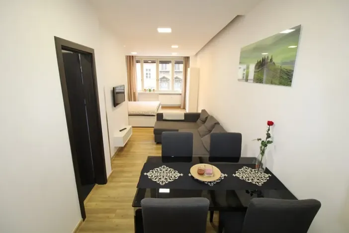 Pronájem bytu 1+kk, Praha - Nové Město, Opletalova, 35 m2