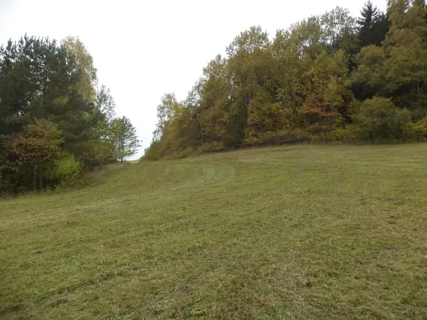 Dražba pozemku pro bydlení, Vidochov, 4068 m2