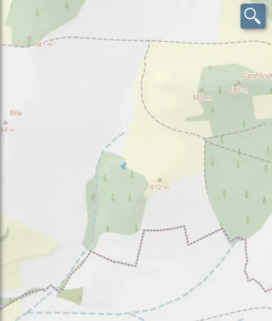 Prodej lesa, Čepřovice, 193 m2