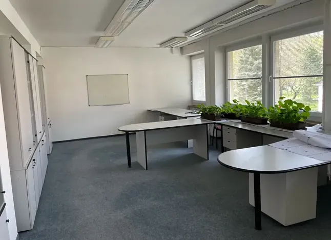 Prodej kanceláře, Litvínov, Ruská, 2216 m2